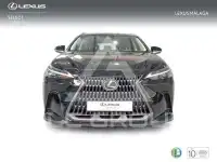 2025 Lexus NX250
