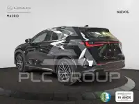 2025 Lexus NX250