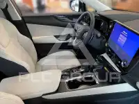 2025 Lexus NX250