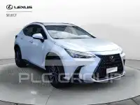 2025 Lexus NX250