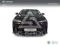 2025 Lexus NX250