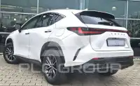 2025 Lexus NX250