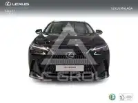 2025 Lexus NX250
