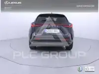 2025 Lexus NX250