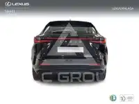 2025 Lexus NX250