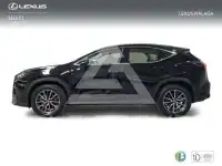 2025 Lexus NX250