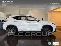 2025 Lexus NX250