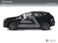 2025 Lexus NX250