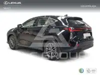 2025 Lexus NX250