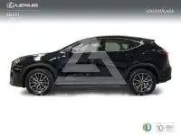 2025 Lexus NX250