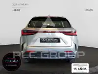 2025 Lexus NX250