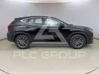 2025 Lexus NX250