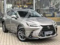 2025 Lexus NX250