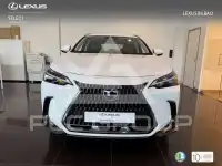 2025 Lexus NX250