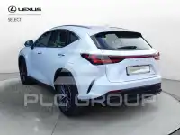2025 Lexus NX250