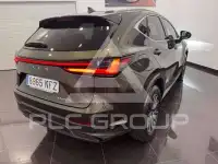 2025 Lexus NX250