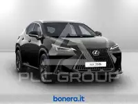 2025 Lexus NX250