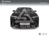 2025 Lexus NX250