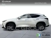 2025 Lexus NX250