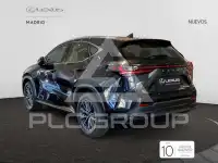 2025 Lexus NX250
