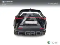 2025 Lexus NX250