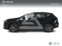 2025 Lexus NX250