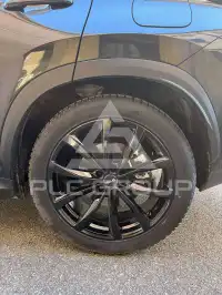 2025 Lexus NX250