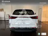 2025 Lexus NX250