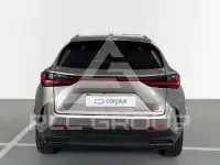 2025 Lexus NX250