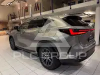 2025 Lexus NX250