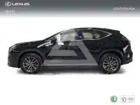 2025 Lexus NX250
