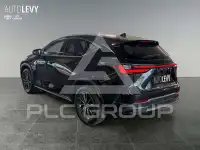 2025 Lexus NX250
