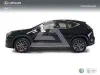 2025 Lexus NX250