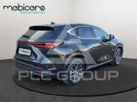 2025 Lexus NX250