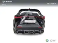 2025 Lexus NX250
