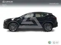 2025 Lexus NX250