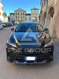 2025 Lexus NX250