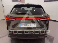 2025 Lexus NX250