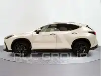 2025 Lexus NX250