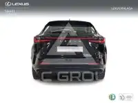 2025 Lexus NX250