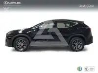 2025 Lexus NX250