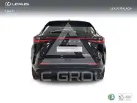 2025 Lexus NX250