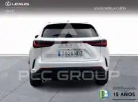 2025 Lexus NX250