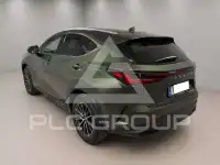 2025 Lexus NX250