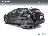 2025 Lexus NX250