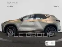 2025 Lexus NX250
