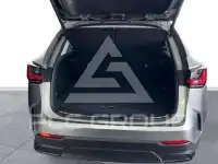 2025 Lexus NX450