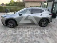 2025 Lexus NX450