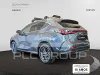 2025 Lexus NX450