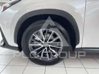 2025 Lexus NX450